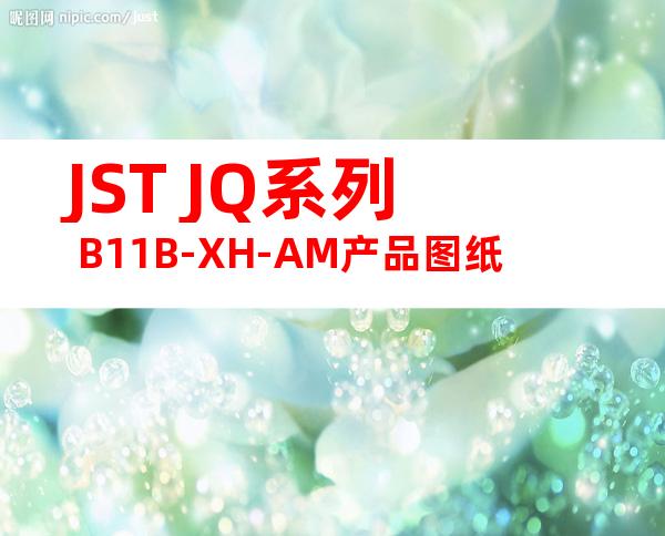 JST JQ系列 B11B-XH-AM产品图纸